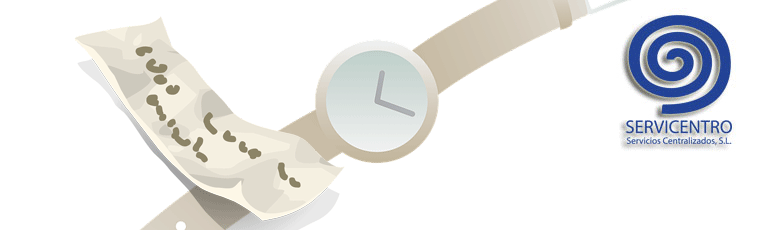 gestoría-en-Sevilla