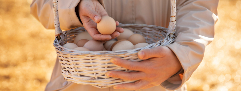asesoría empresarial en Sevilla